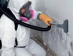 Mold Odor Removal Services in El Paso, TX